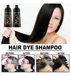 EELHOE Champú Tinte Negro 3 en 1: Cubre Canas y Nutre el Cabello