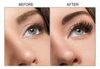 Bar de Cejas iLady Beauty