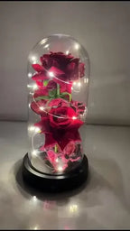 Rosa Eterna LED