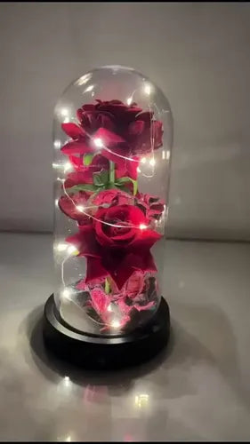 Rosa Eterna LED