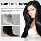EELHOE Champú Tinte Negro 3 en 1: Cubre Canas y Nutre el Cabello