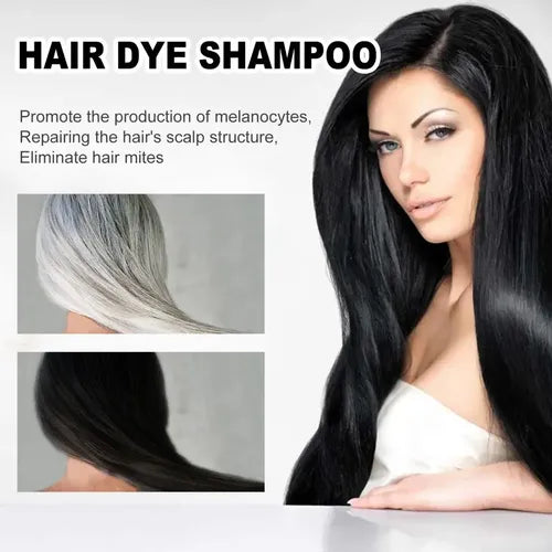 EELHOE Champú Tinte Negro 3 en 1: Cubre Canas y Nutre el Cabello
