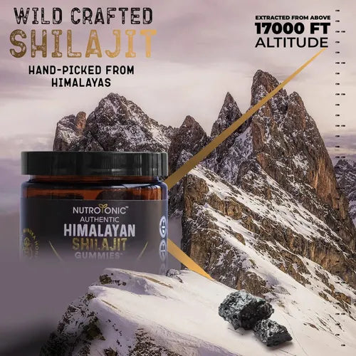 Gominolas de Shilajit del Himalaya
