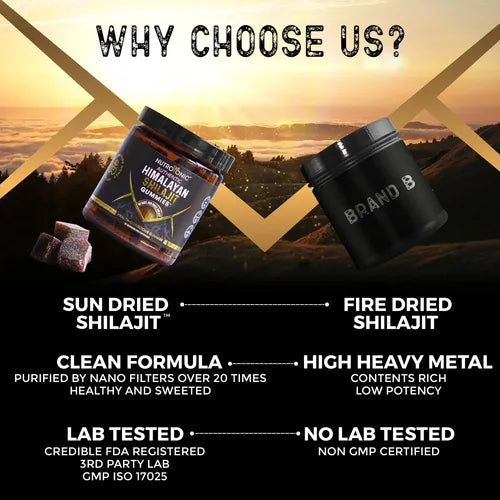 Gominolas de Shilajit del Himalaya