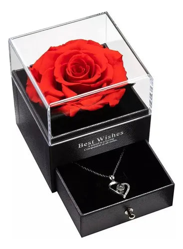 Rosa Eterna en Cúpula de Cristal