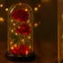 Rosa Eterna LED