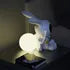 Proyector Lunar Coelho