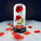 Rosa Eterna LED