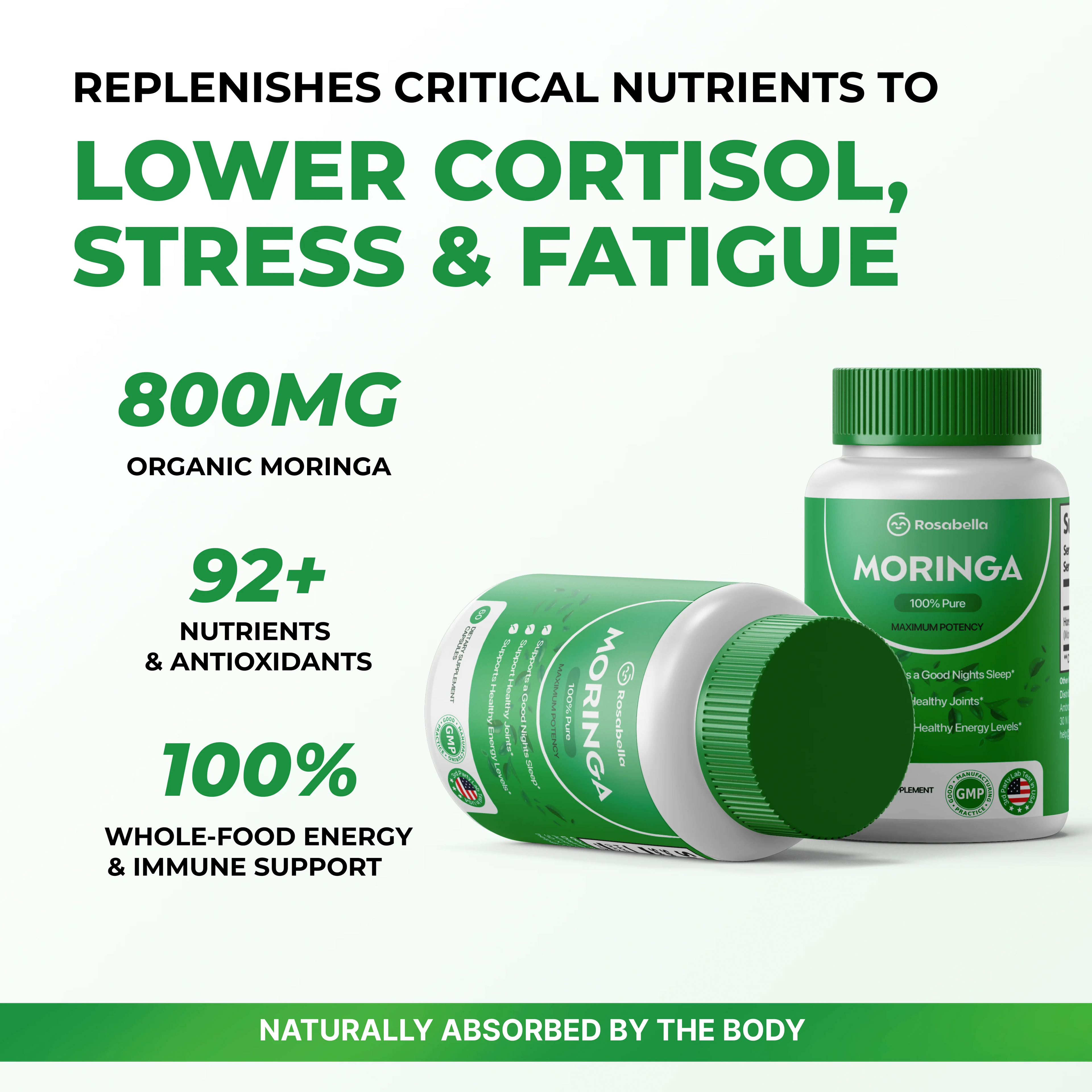 Moringa Pura en Polvo