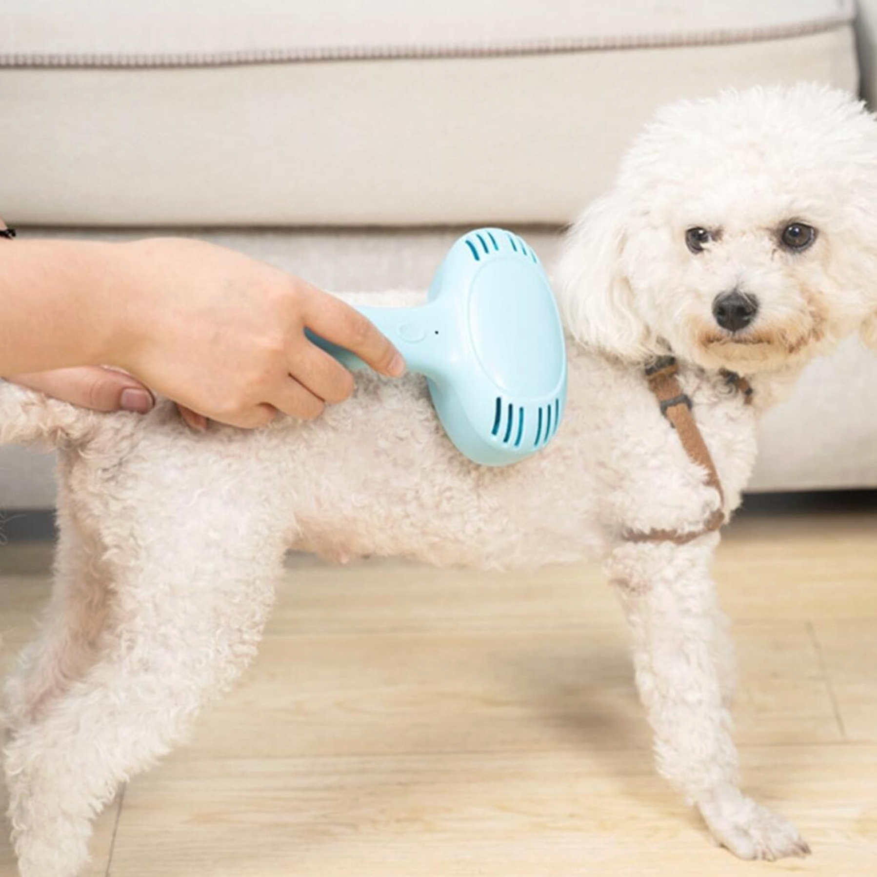 🐾 Electric Rechargeable Pet Hair Removal Brush